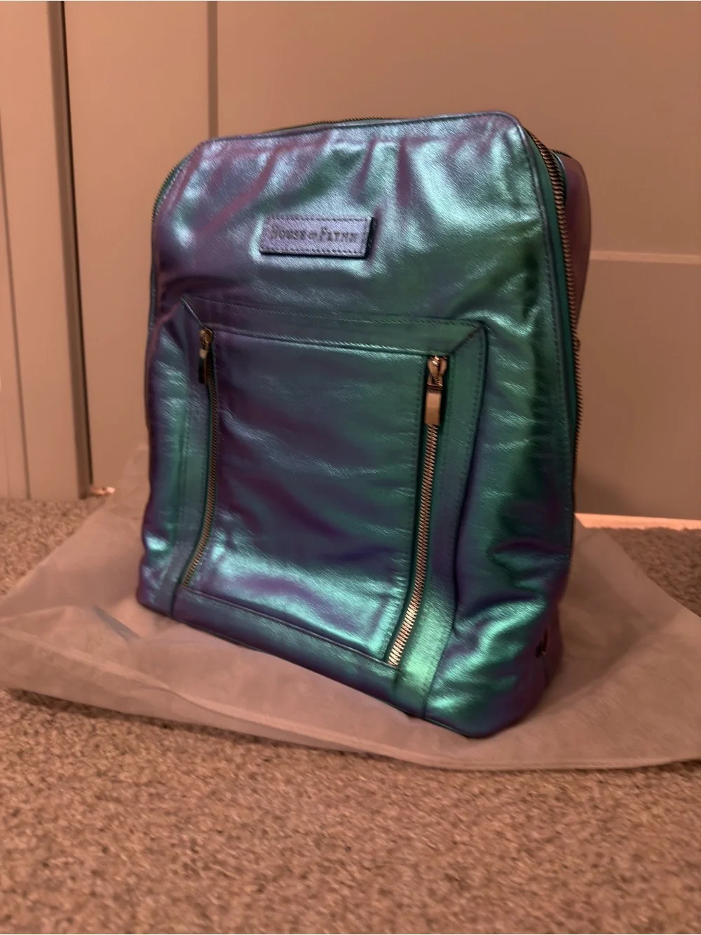 House Of Flynn Color Shifting Camera Backpack